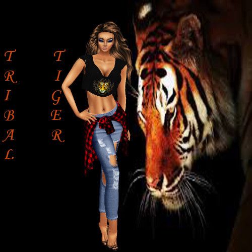  photo Tiger Catty Background_zpshyctlldy.jpg