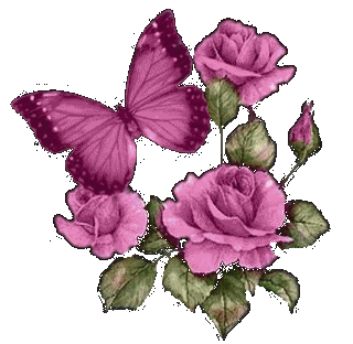 rosas mariposa