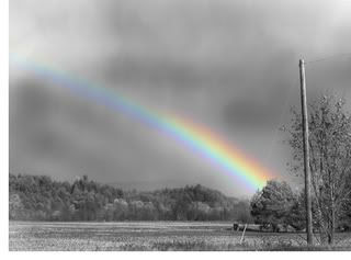 black-and-white.jpg beautiful2 image by ChristinaCity