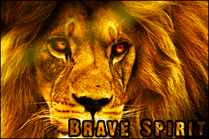 Brave-Spirit_zps7d84120a.gif