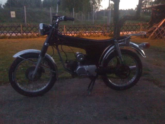 Bild