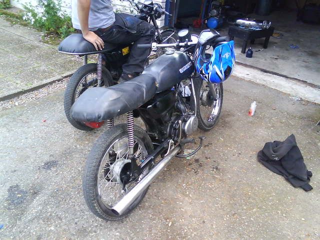Bild