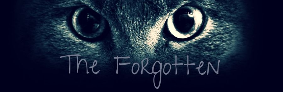 The Forgotten