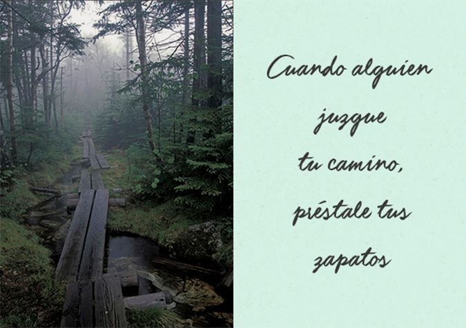 photo LAMINA7_BLOG.jpg