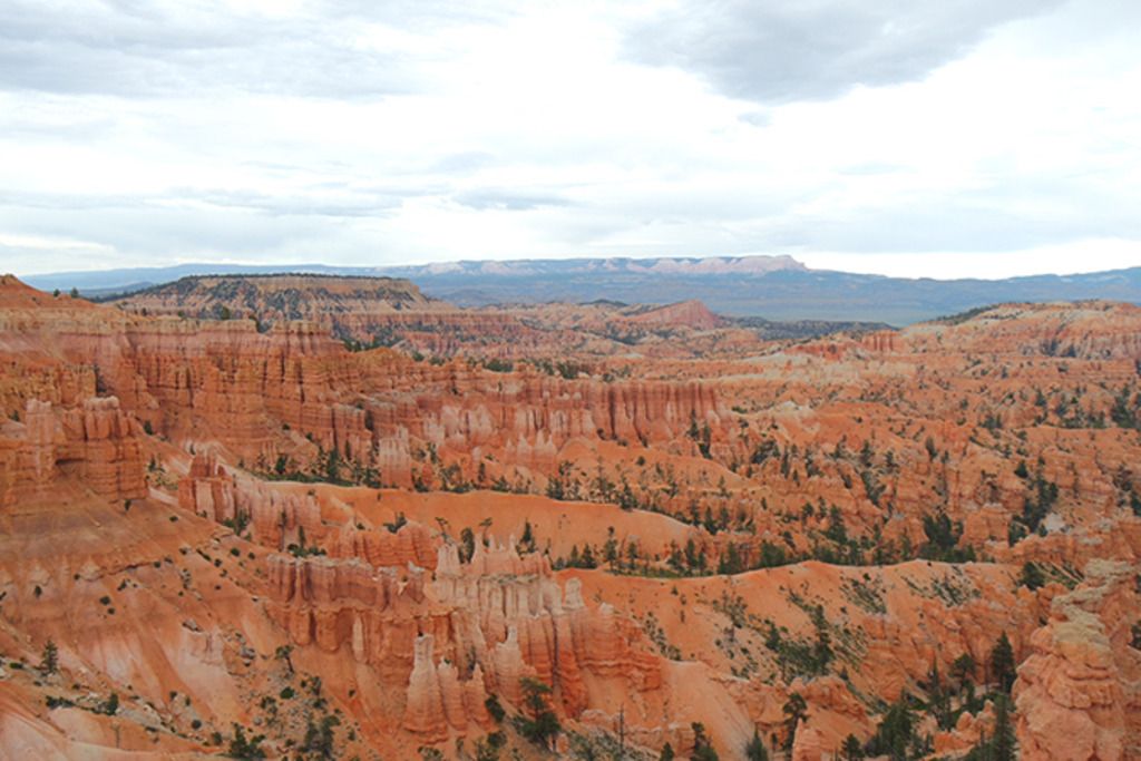 photo bryce2.jpg