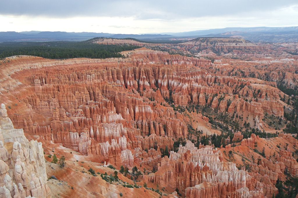 photo bryce3.jpg