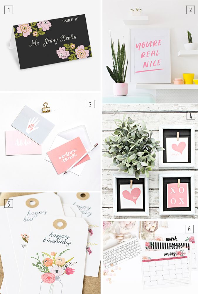photo freebies1.jpg