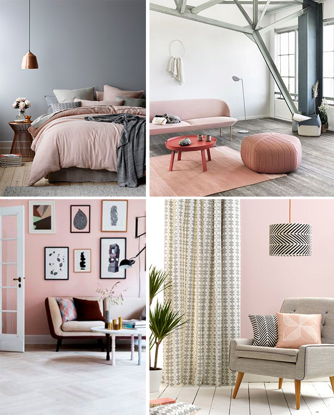 photo rosa-curazo-deco2.png