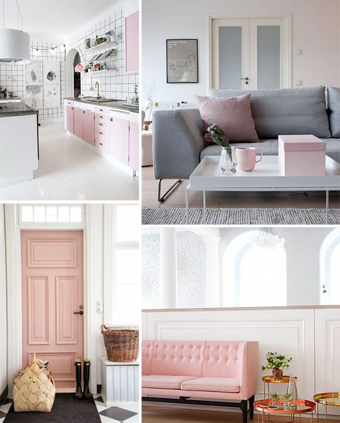 photo rosa-curazo-deco3.png