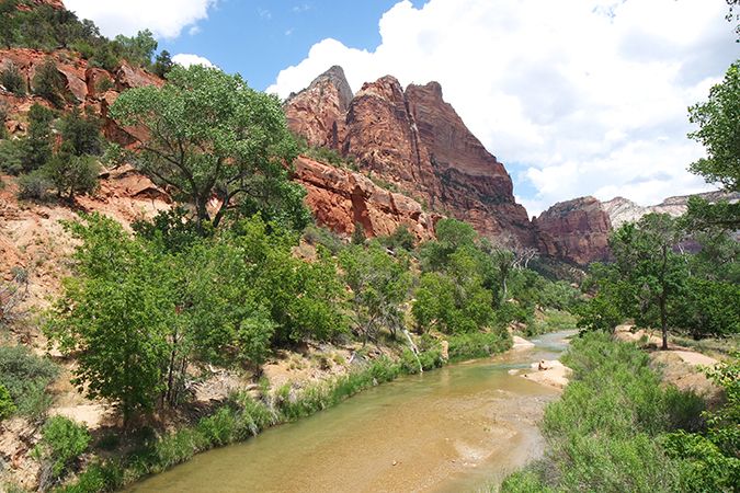 photo zion1.jpg