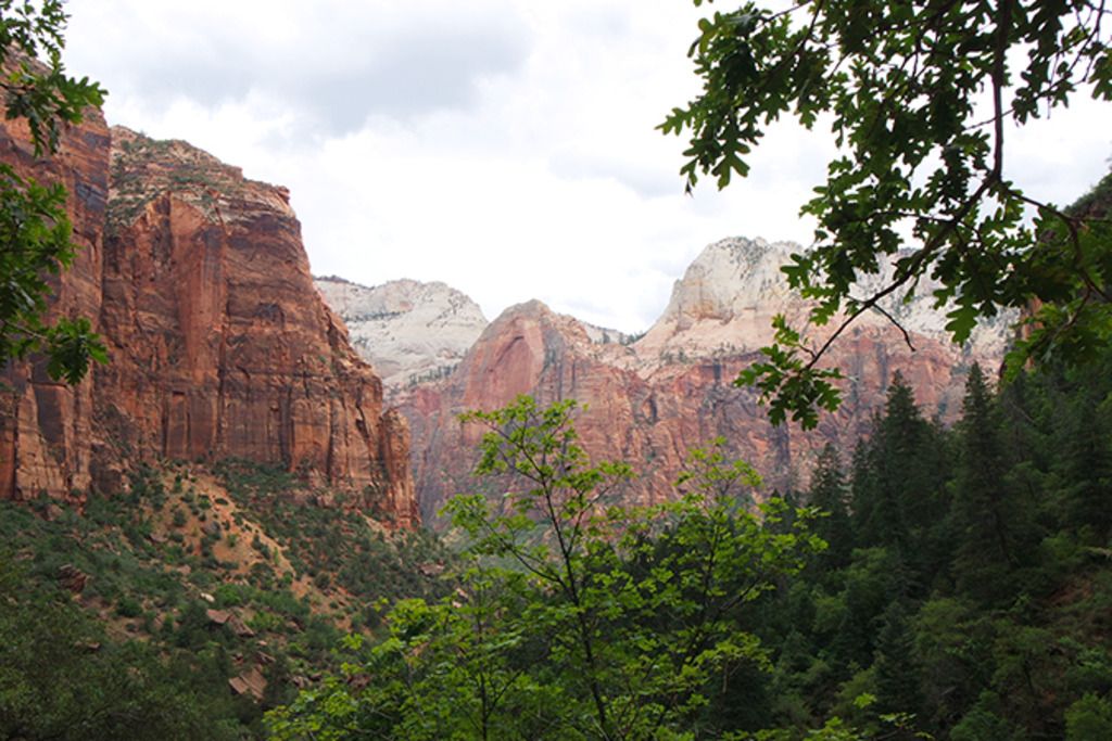 photo zion2.jpg