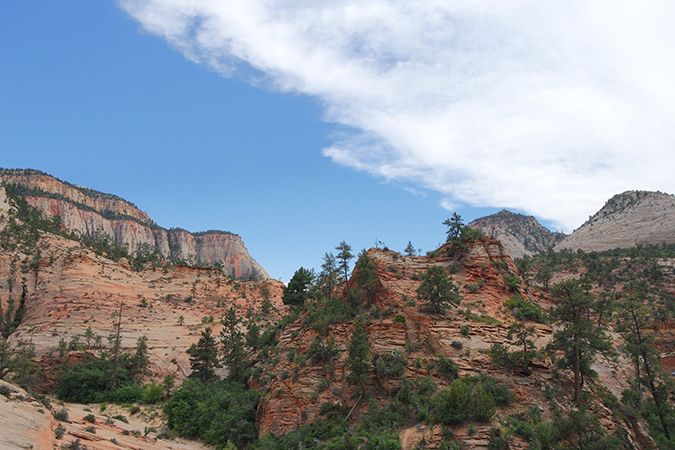 photo zion3.jpg