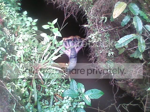 Image0001.jpg