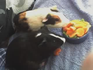 03-08-09_1238.jpg